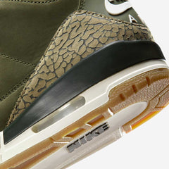 Air Jordan 3 “Family Affair”