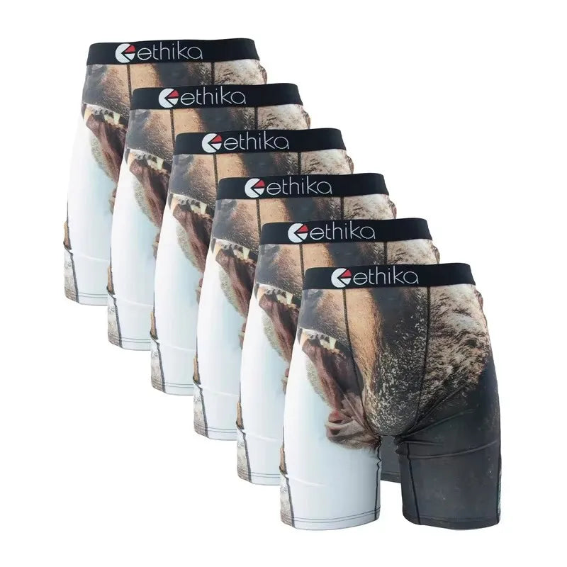 6Pcs ETHIKA Sexy Men Underwear Boxer