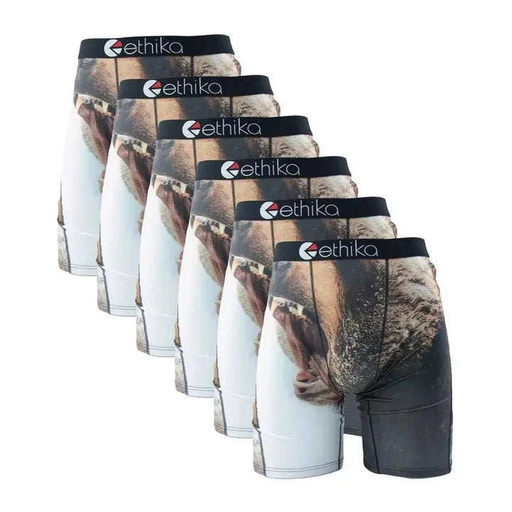 6Pcs ETHIKA Sexy Men Underwear Boxer